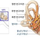 훈토스 이미지