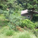 호수로24번길 이미지