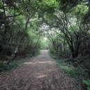 동백목장 이미지