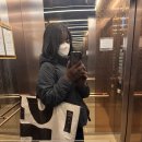 천안효호두과자호담 - 천안시 동남구 천안대로 47 | 3월 2주차 일상