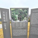 고창읍성
매표소 앞 이미지