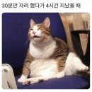 낭만닭강정 이미지