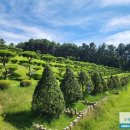 영원목장 이미지