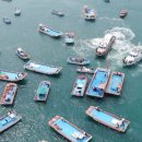 진도이어라 이미지