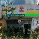 초원꽃집 - 부천시 소사구 경인로 563-1 | 초원꽃집