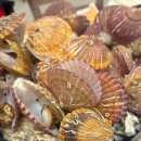 천북굴단지 이미지