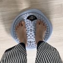 SNS 핫템 홈트운동 지압 다이어트 아큐스터 내돈내산 후기
