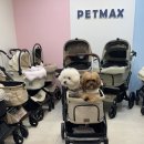 아리아펫 | [내 돈 내산] 용인 펫막스 유모차 구매후기