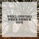 다보이는세상 이미지