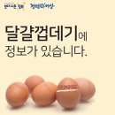 인천광역시 보건환경연구원 앞 이미지