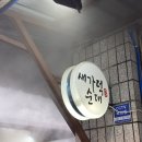 육거리순대 | [청주] 육거리시장 새가덕순대 방문후기