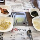 시골애 이미지