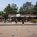 문경 철로자전거(진남역) 이미지