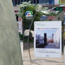 돈키호테-무식한 소 이미지