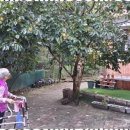 그리스도요양원 이미지