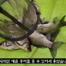 평기 이미지