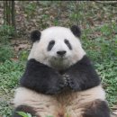 화화 이미지