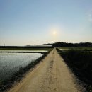 염치농장 이미지