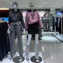 도그PC방 이미지