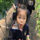 대산농장2 이미지