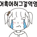 프로펫애견미용학원 이미지