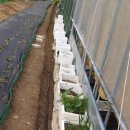 뒤뜰농장 이미지