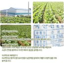 후레쉬팜 이미지