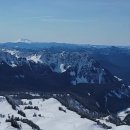 Panorama Point at Mt. Rainier 이미지