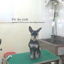 펫더스타일 이미지