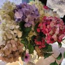 루소의 숲 어린이집 이미지