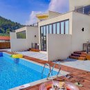 파레사애견풀빌라 이미지