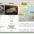 금호광학 네이버블로그
