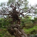 상수농장 이미지