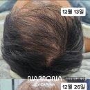 라라뷰티랜드제주