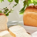 한끼식빵 이미지