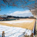 공설운동장 축구장 이미지