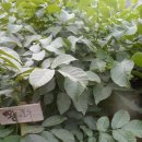 청춘농원 이미지