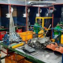 경산냉동 이미지