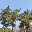 유수지공원 유아숲체험원 이미지