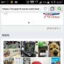 꽃님이약국 네이버블로그