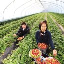 중방농장 이미지