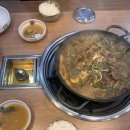 6월2째주 초록초록한 일주일 일기