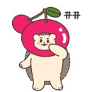 시저지(syzygy)