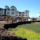 씨에코비치 이미지