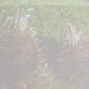 허준한의원 이미지