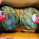 다름 과일 이미지