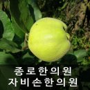 자비손한의원 이미지