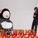 스시곰 이미지