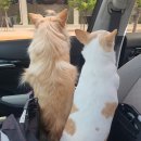 이재룡의 뭉개뭉개유치원 이미지