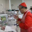 학교법인가톨릭학원가톨릭대학교서울성모병원 이미지